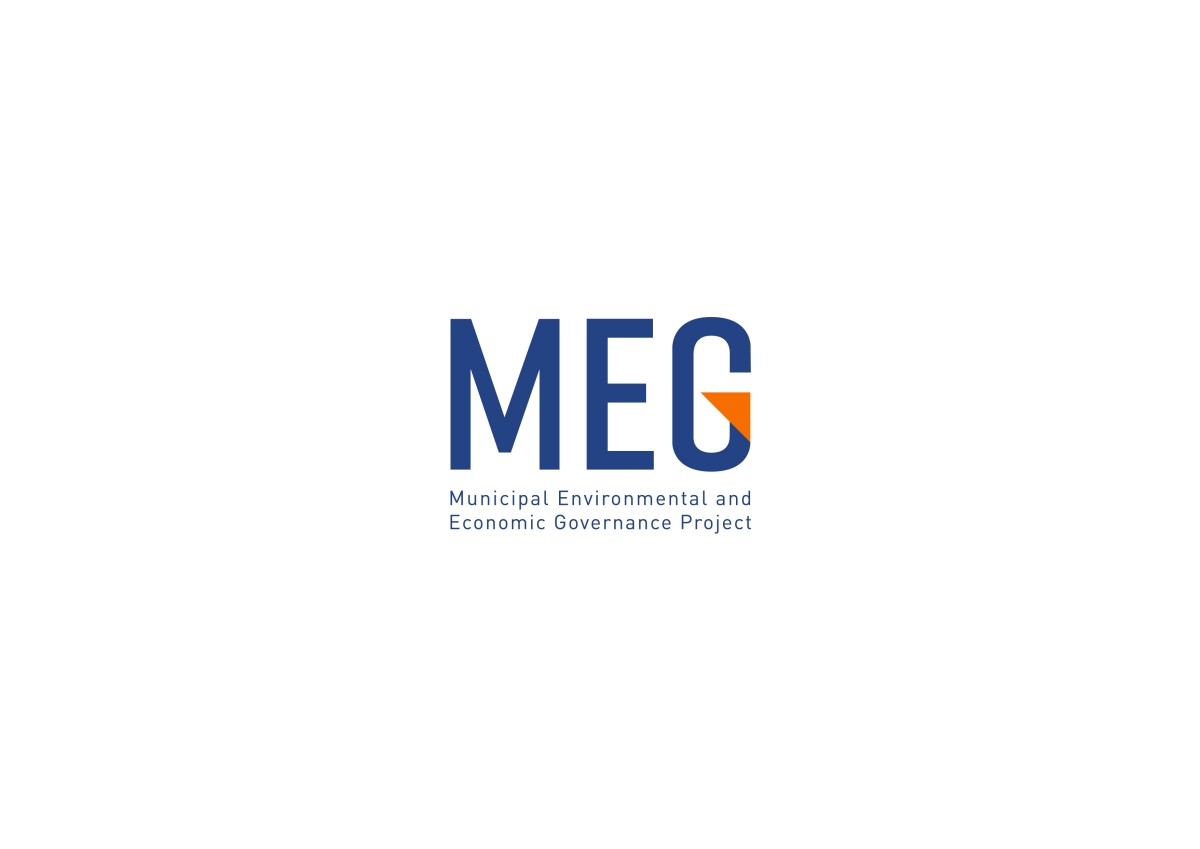 meg